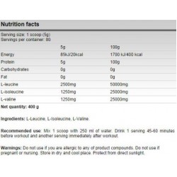 FA Nutrition Xtreme BCAA 5000 - 400 gr